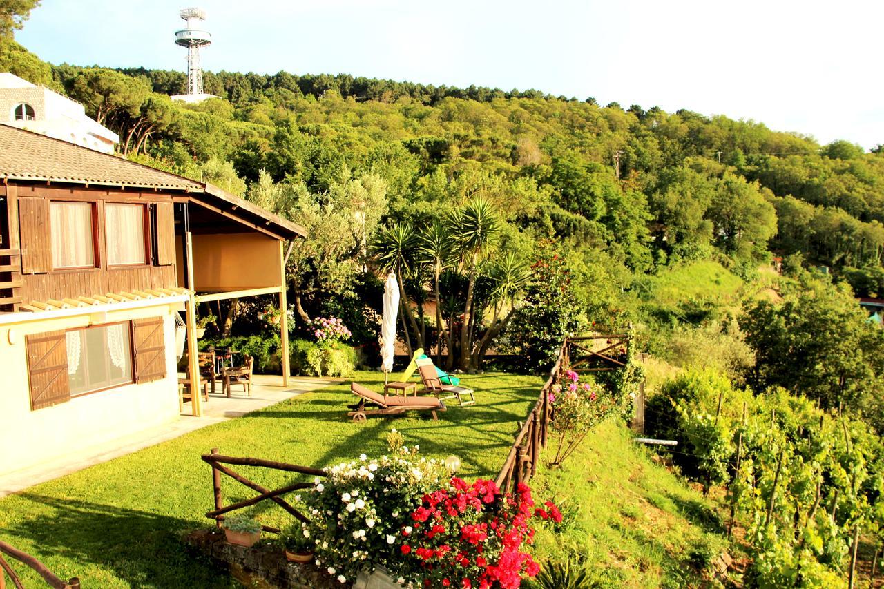Chalet Annie Villa Sorrento Bagian luar foto